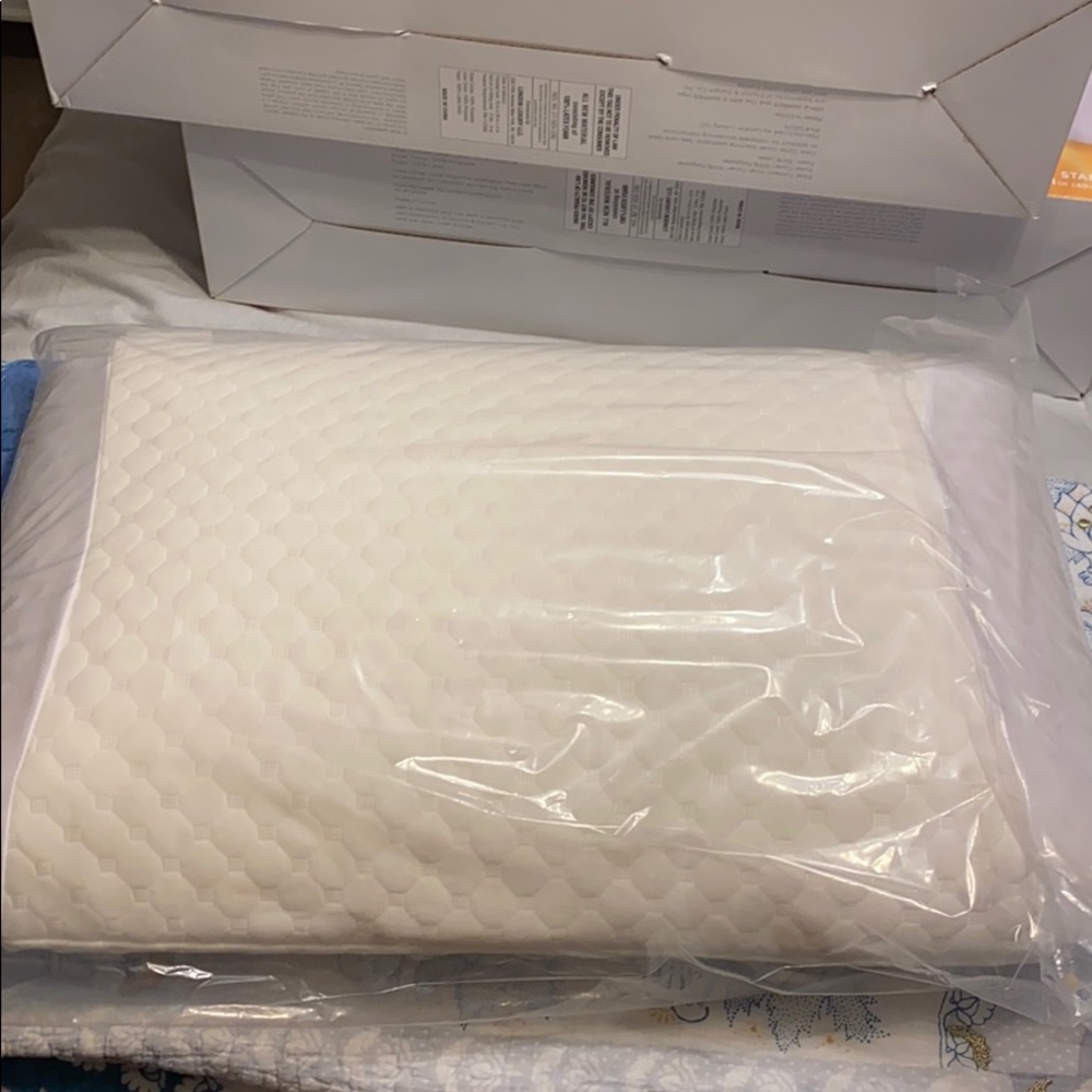 Standard Pillow